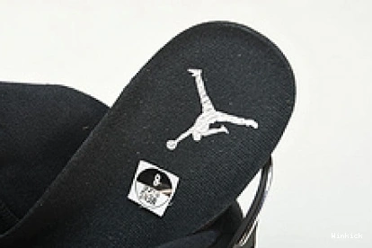 6 Air Jordan Silver” “Metallic DX2836-001 0807